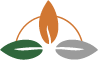 Hotel Trópico Latino | Santa Teresa Costa Rica