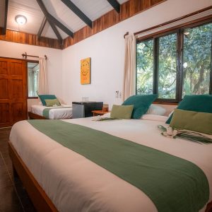Garden View Standard Room