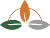 Hotel Tropico Latino