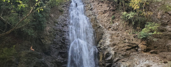 Santa Teresa waterfall surrounded by tropical forest in Costa Rica